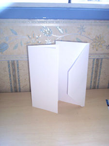 25 White Cards + Envelopes 99x210mm / DL